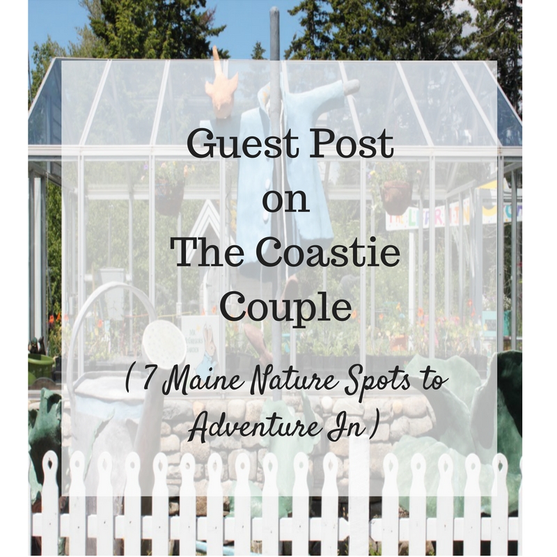 Guest Post on the Coastie Couple Maine Nature