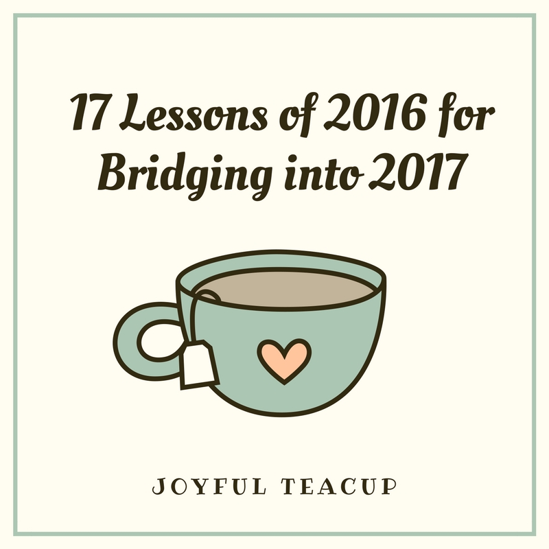 17 Lessons of 2016 for Bridging into 2017